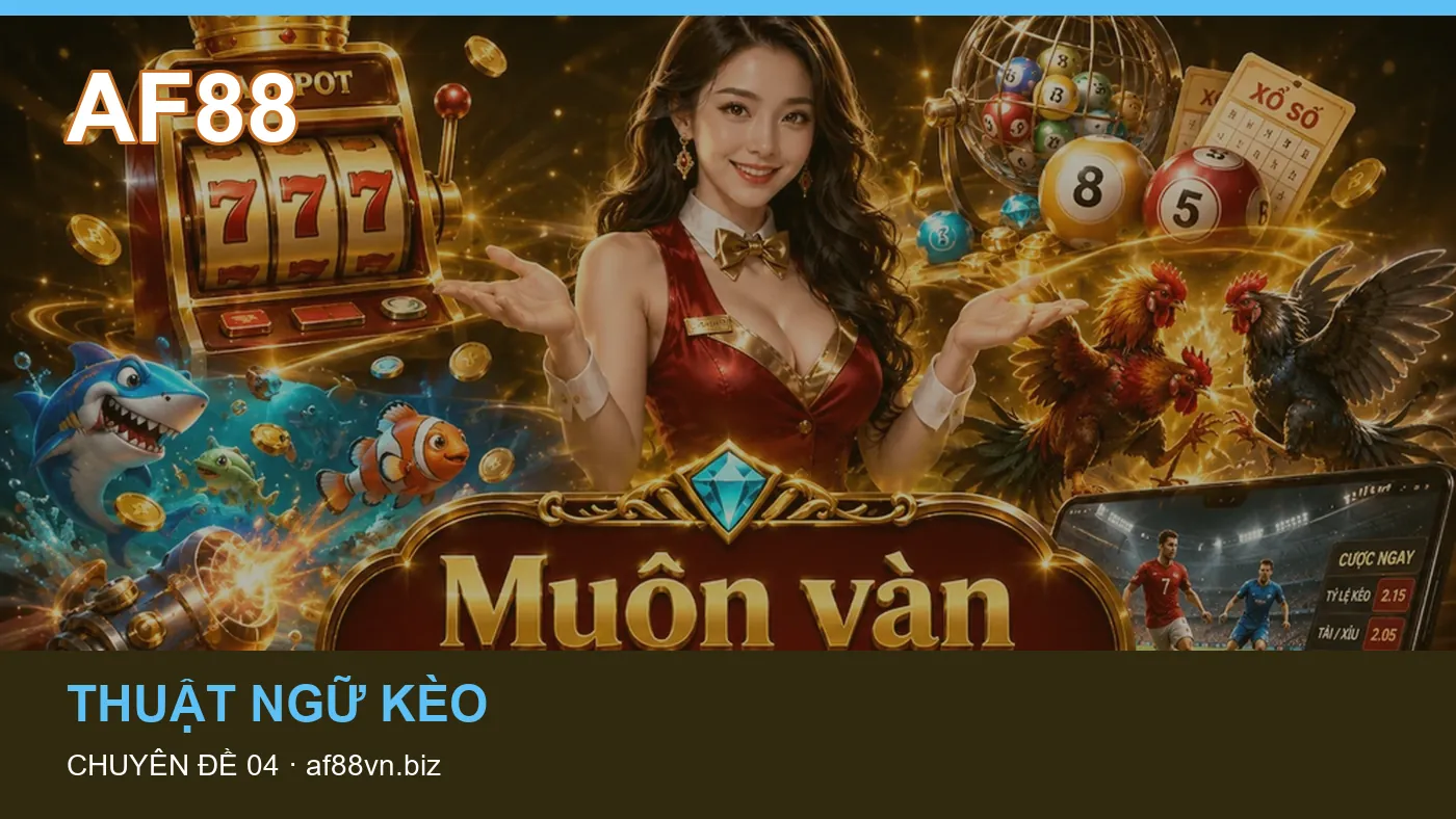 Cách bắt đầu đọc chuyên mục Giải đấu trên AF88
