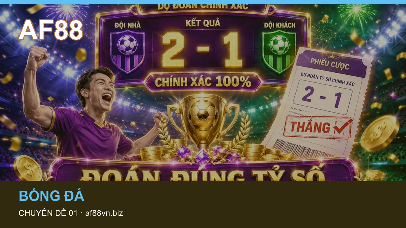 Danh sách kiểm tra thông tin Giải đấu dành cho người đọc AF88